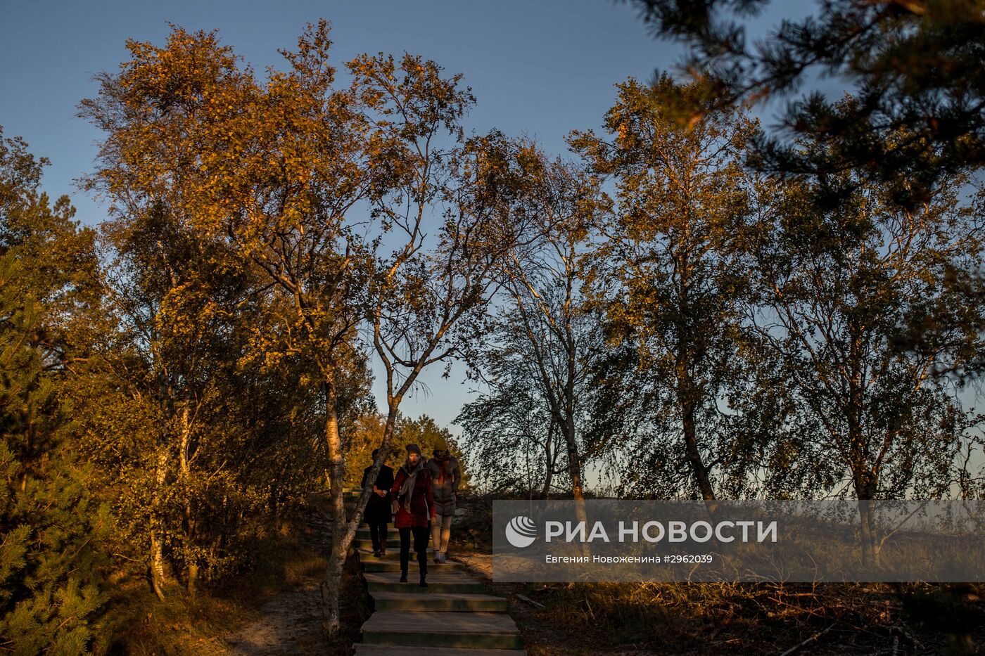 Национальный парк "Куршская коса" в Калининградской области