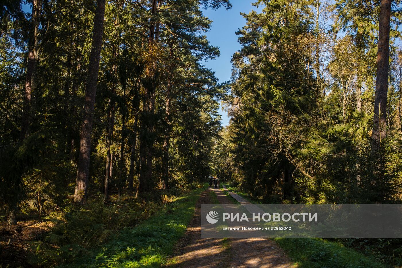 Национальный парк "Куршская коса" в Калининградской области