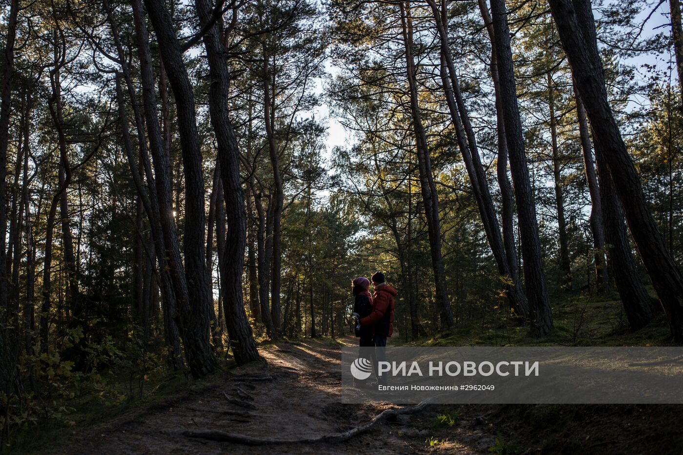 Национальный парк "Куршская коса" в Калининградской области