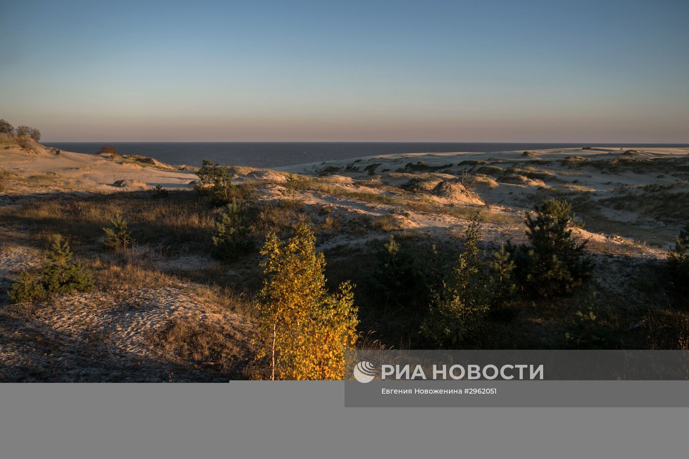 Национальный парк "Куршская коса" в Калининградской области