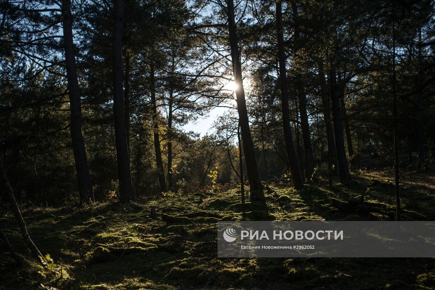 Национальный парк "Куршская коса" в Калининградской области