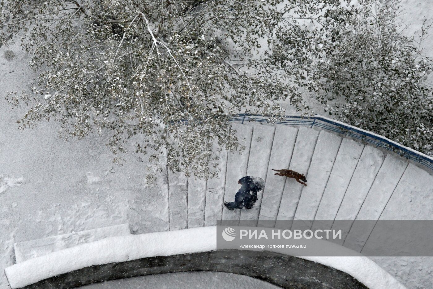 Зима в Новосибирске