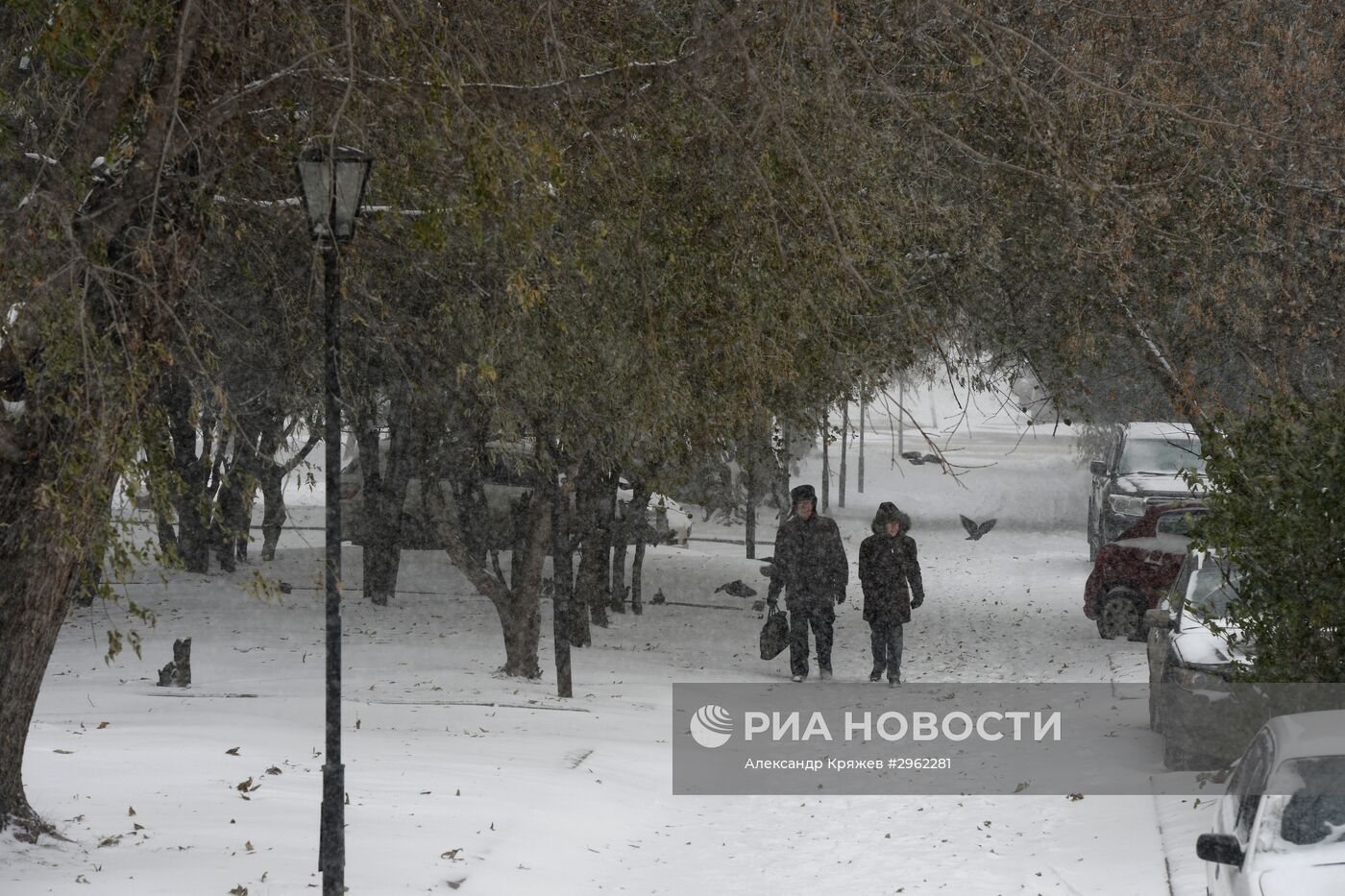 Зима в Новосибирске