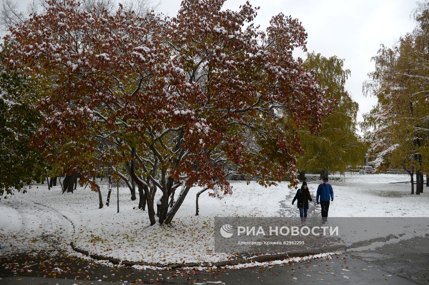 Зима в Новосибирске