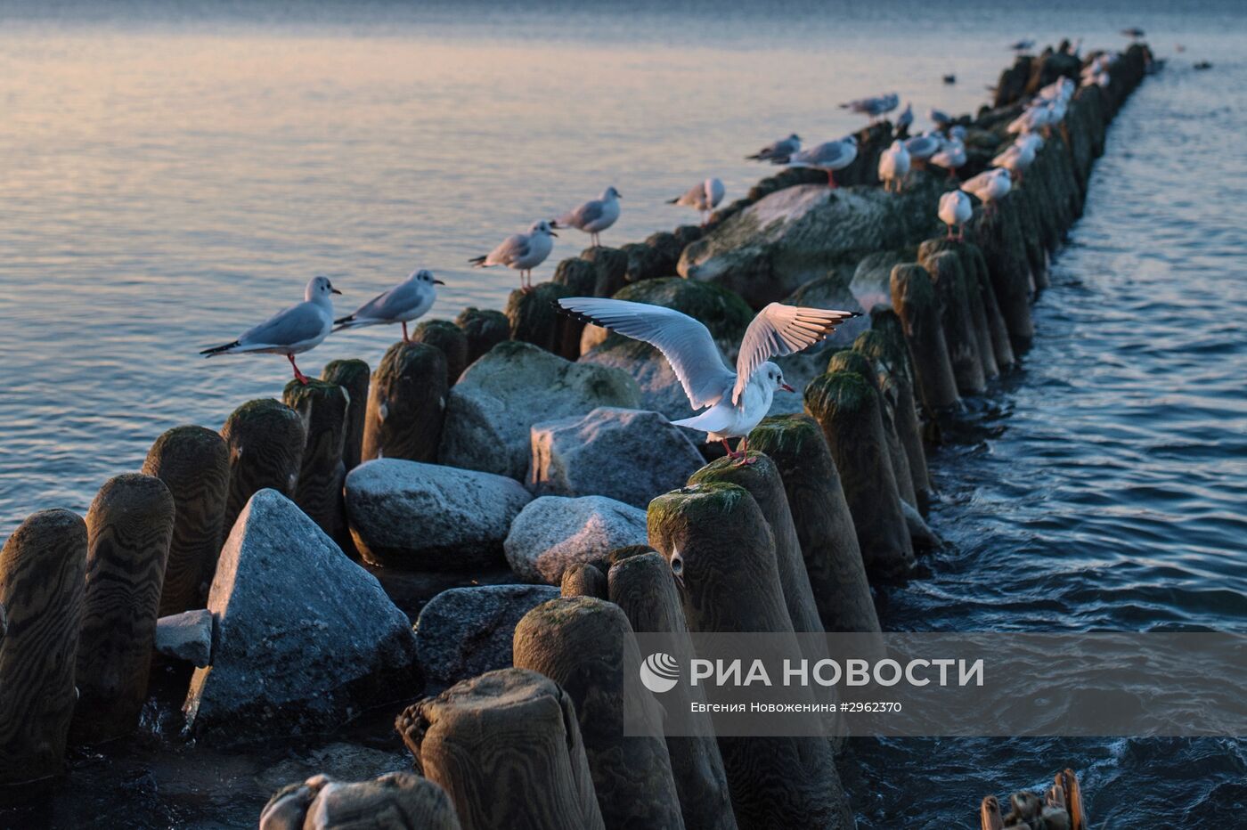 Город- курорт Зеленоградск