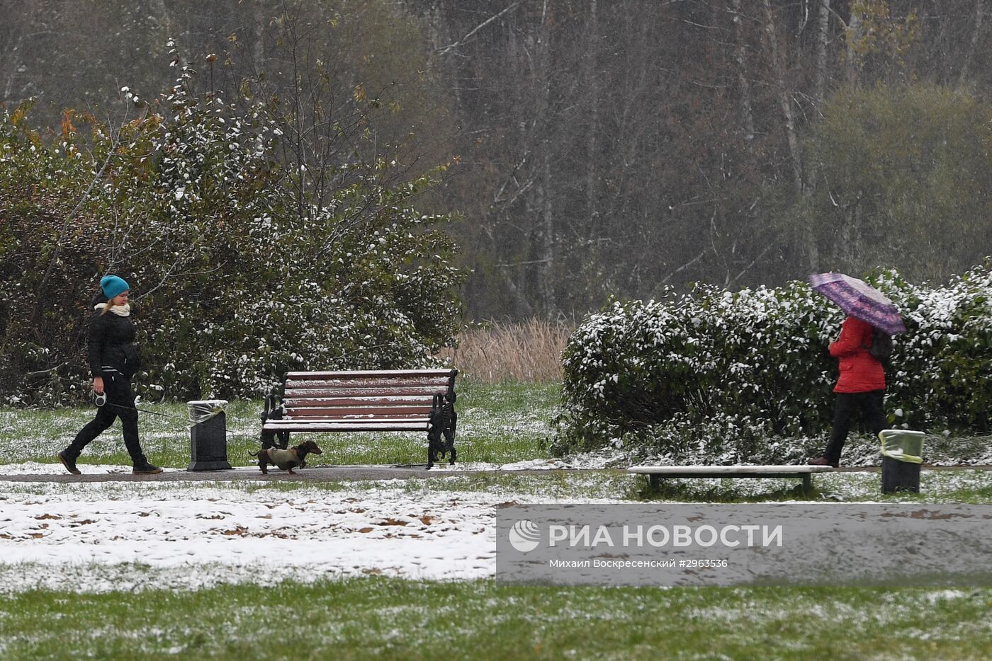 Снег в Москве