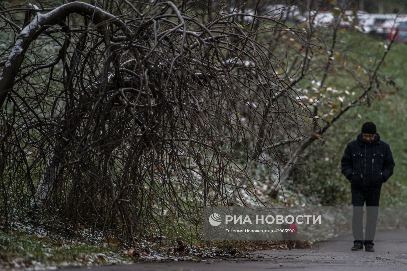 Снег в Москве