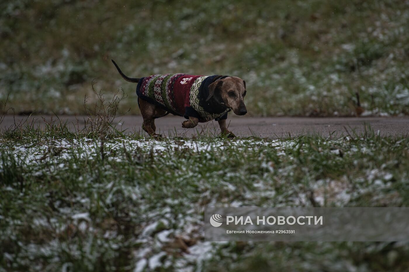 Снег в Москве