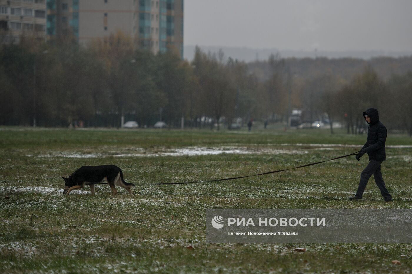 Снег в Москве