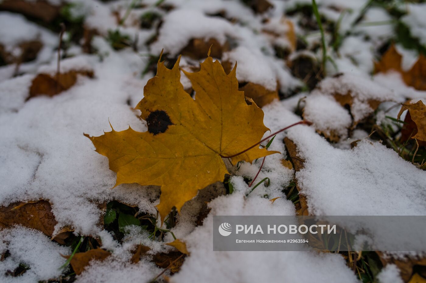 Снег в Москве