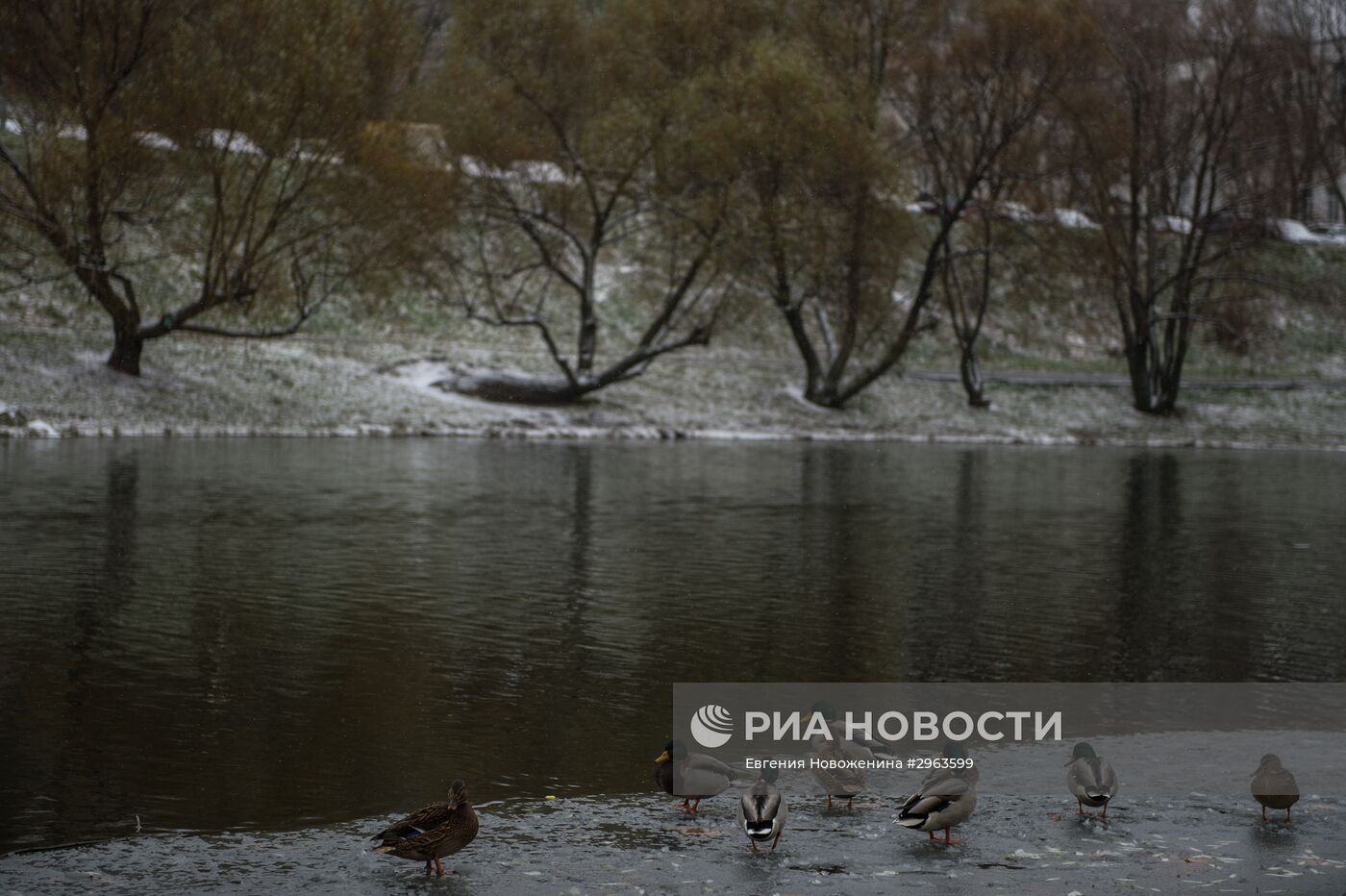 Снег в Москве