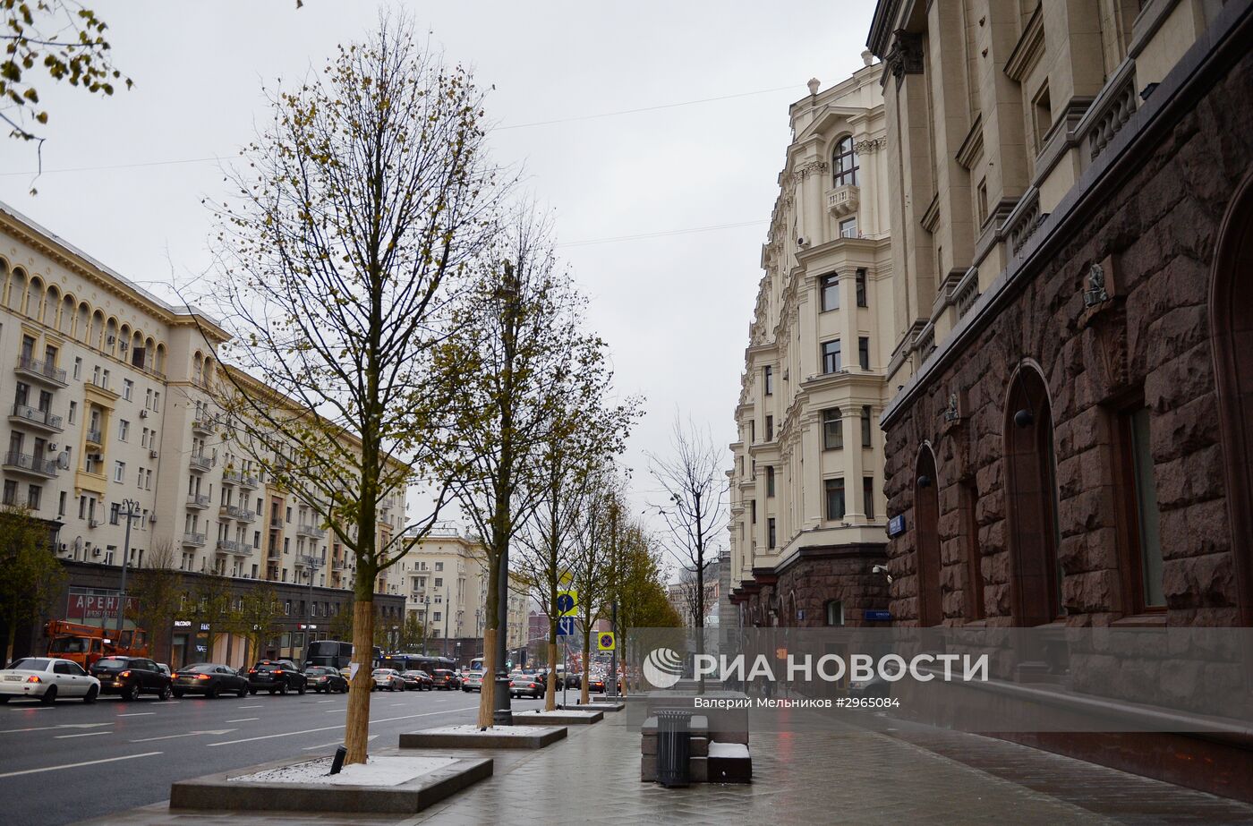 Высадка липовой аллеи на Тверской улице