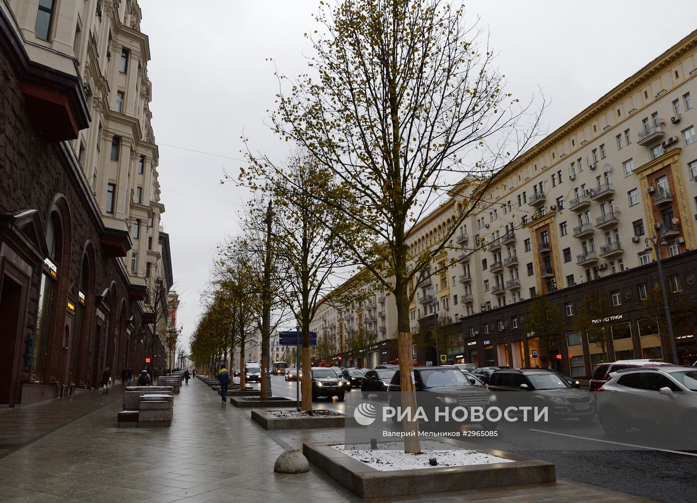 Высадка липовой аллеи на Тверской улице