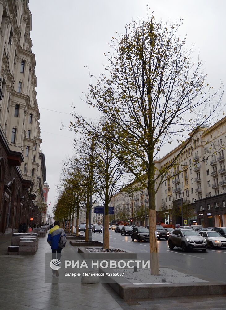 Высадка липовой аллеи на Тверской улице