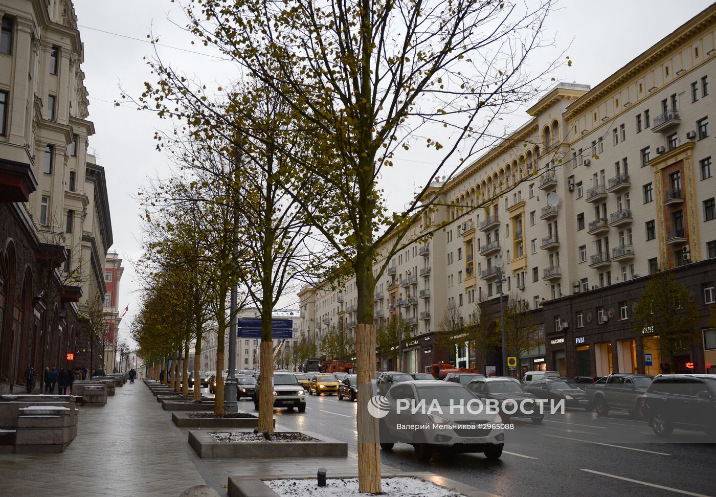 Высадка липовой аллеи на Тверской улице