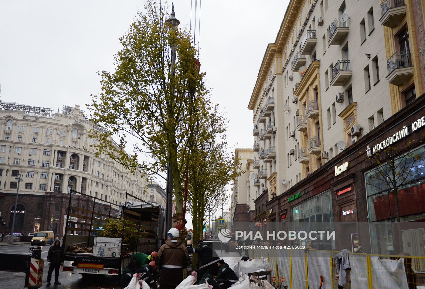 Высадка липовой аллеи на Тверской улице