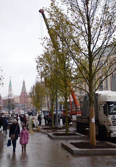 Высадка липовой аллеи на Тверской улице