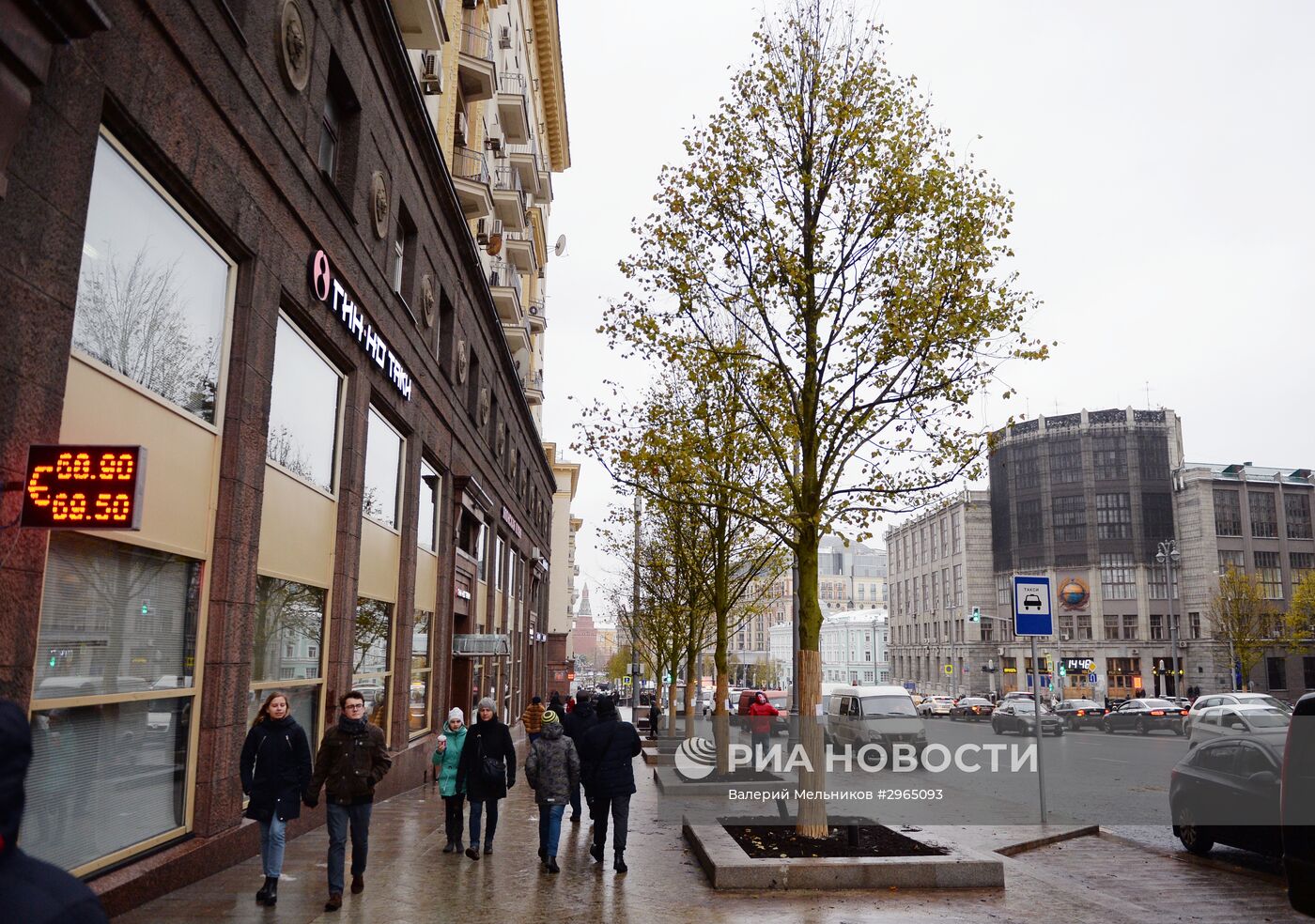 Высадка липовой аллеи на Тверской улице