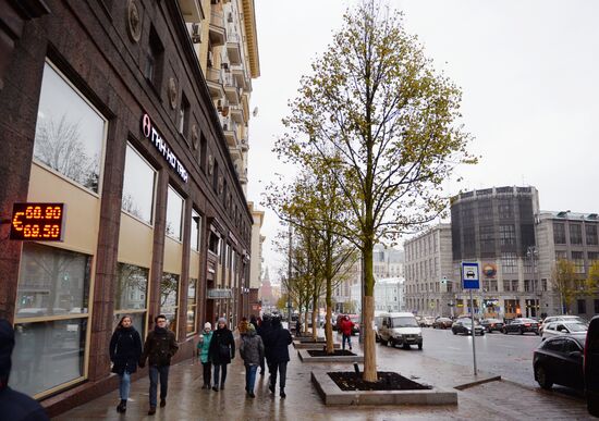 Высадка липовой аллеи на Тверской улице