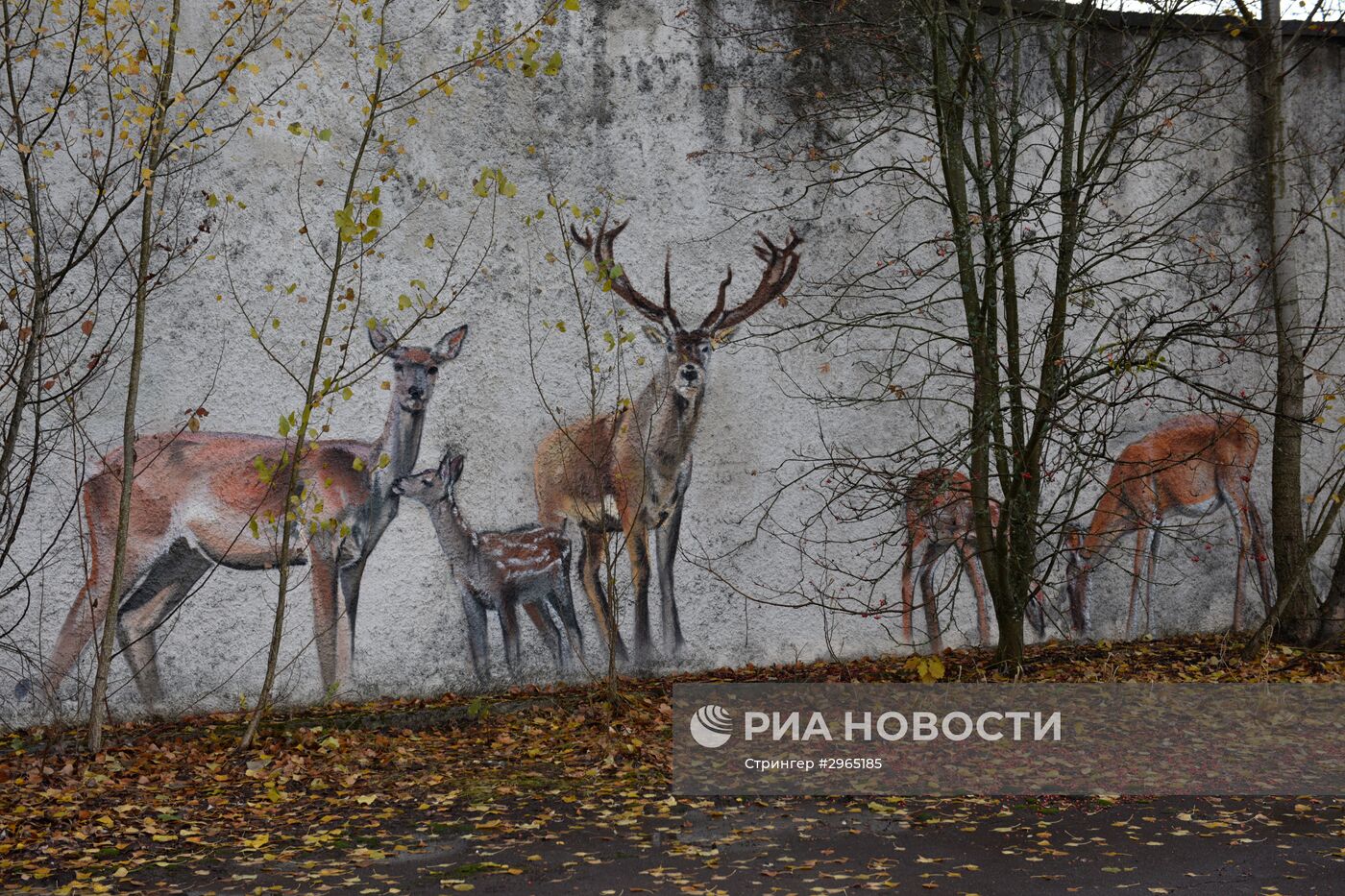 Чернобыльская атомная электростанция