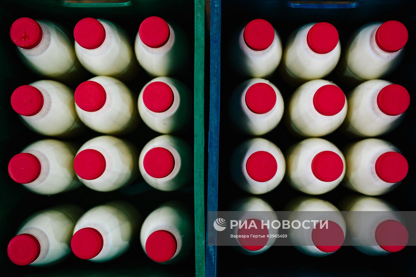 Производство молочных продуктов в Иванове
