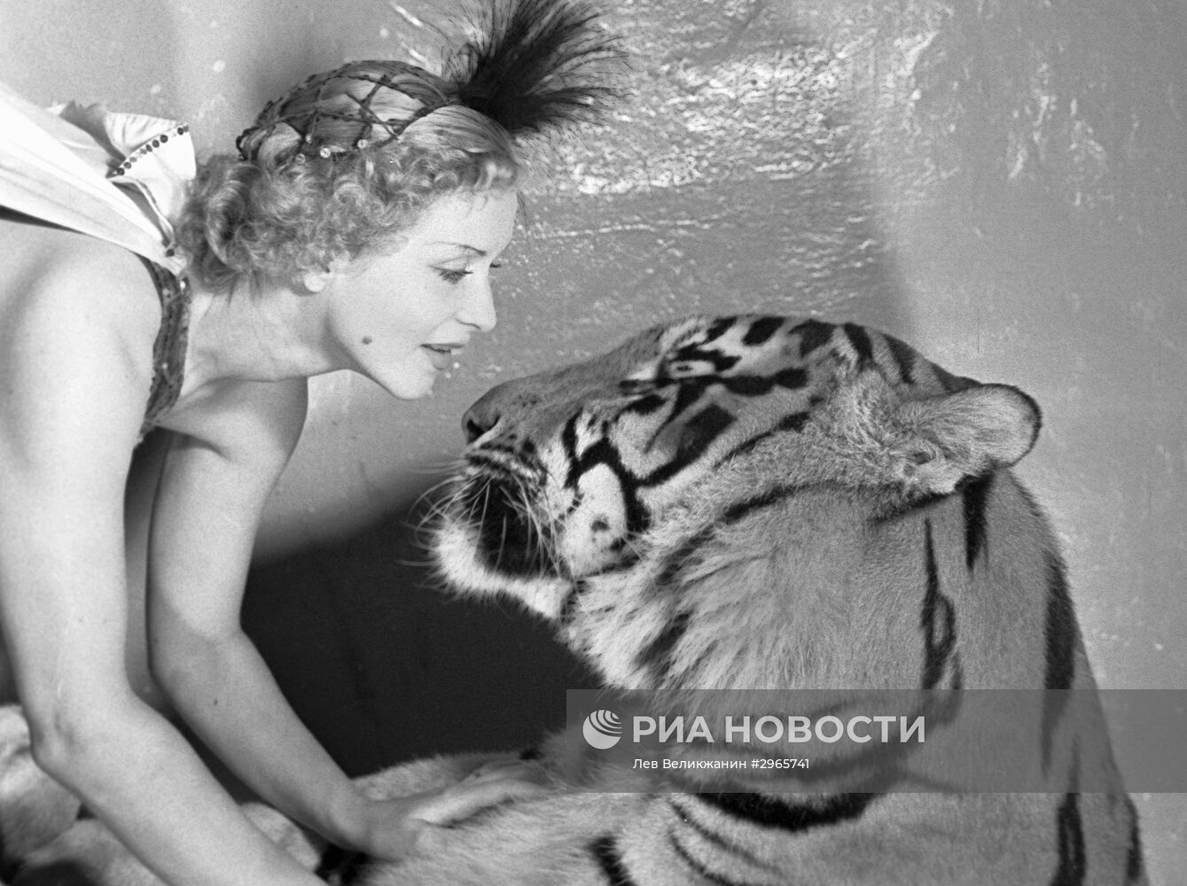 Дрессировщица тигров Маргарита Назарова