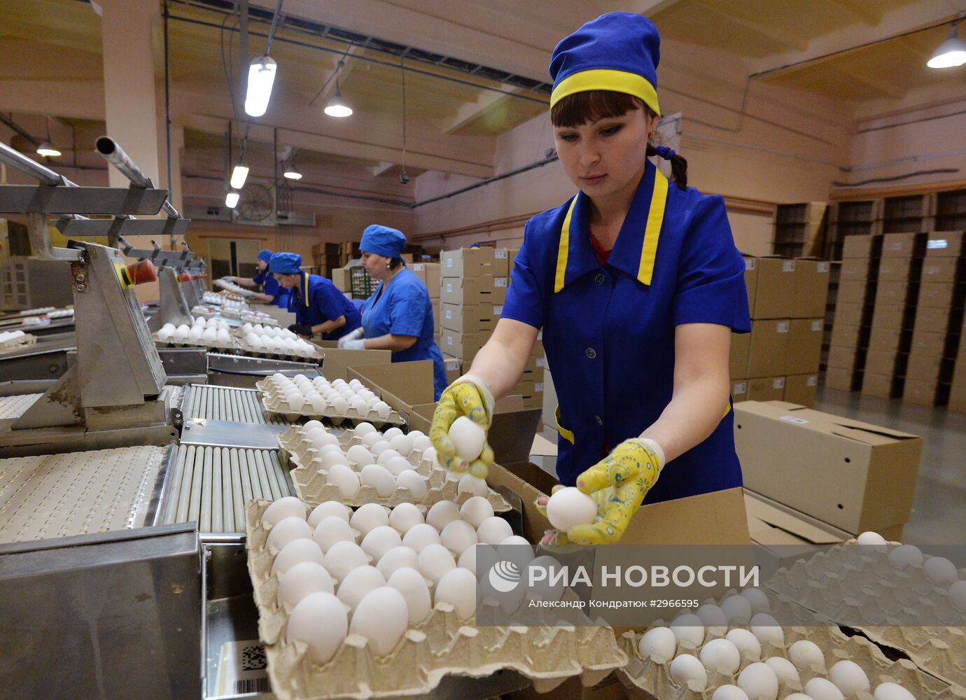 Птицефабрика в Челябинской области