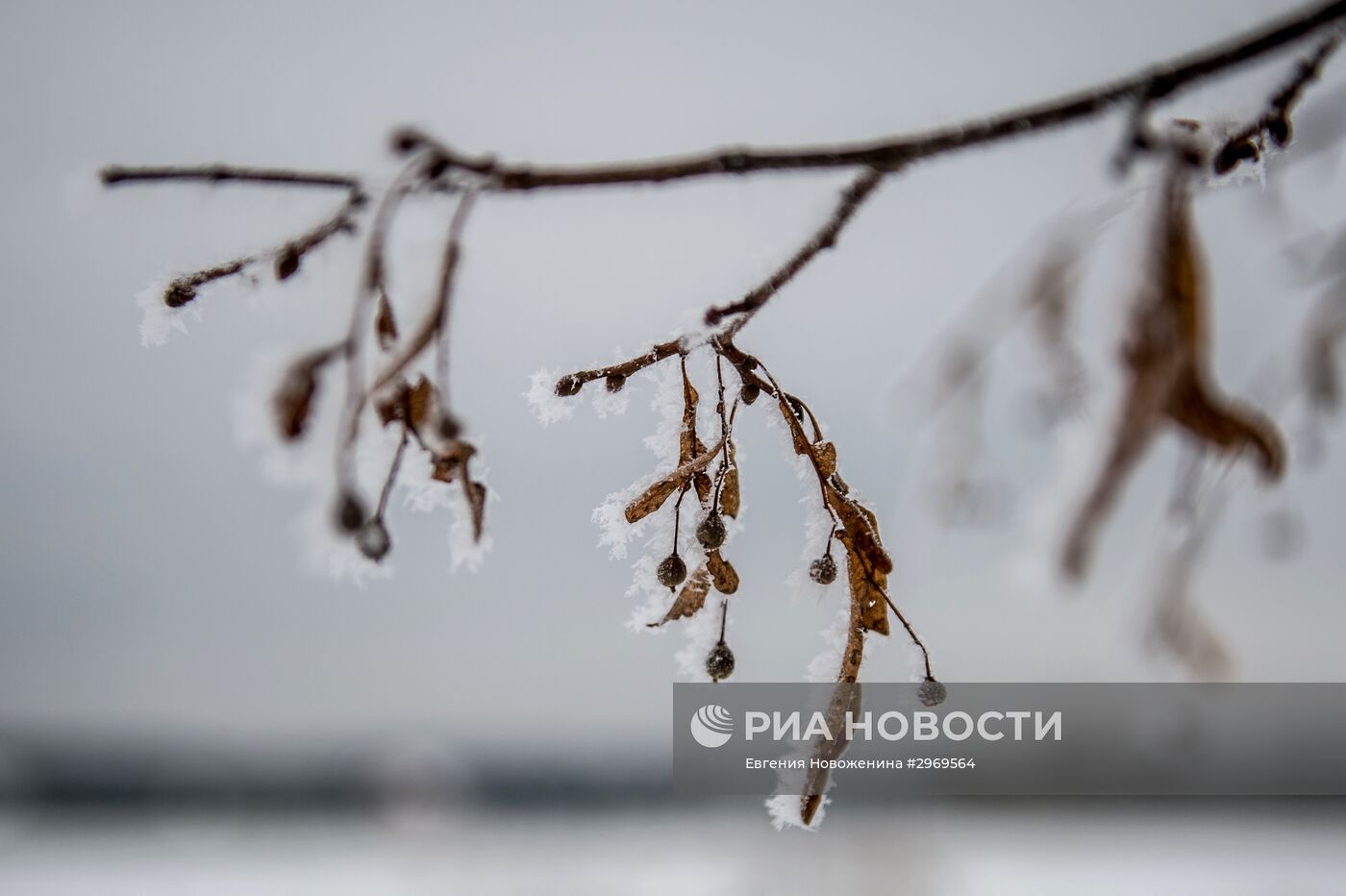 Повседневная жизнь