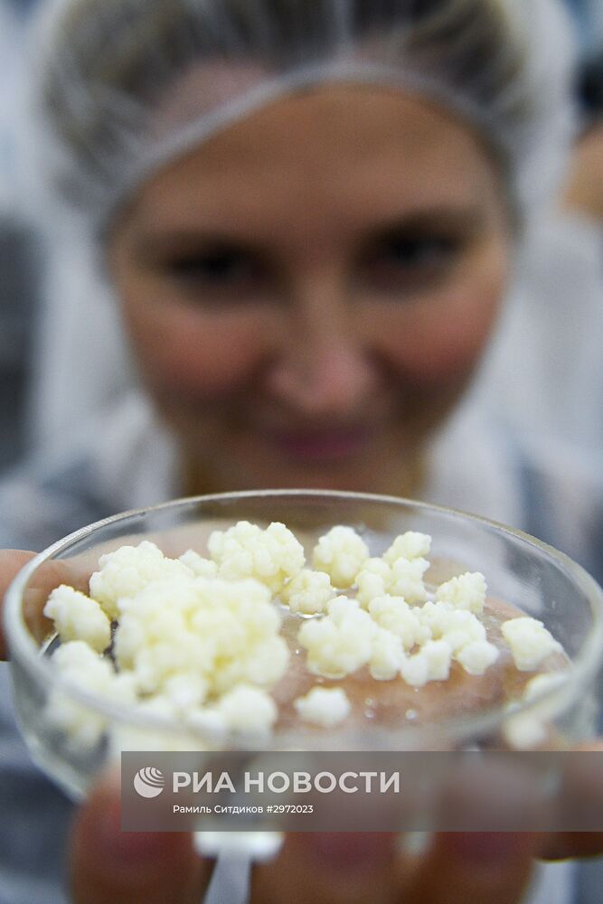 Фермерское хозяйство в Московской области