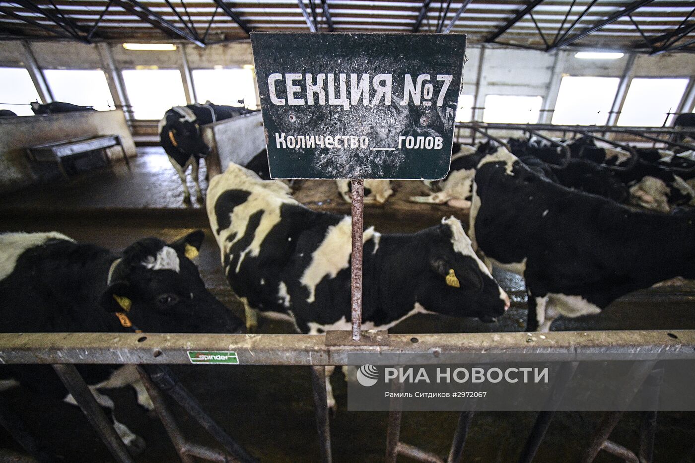 Фермерское хозяйство в Московской области