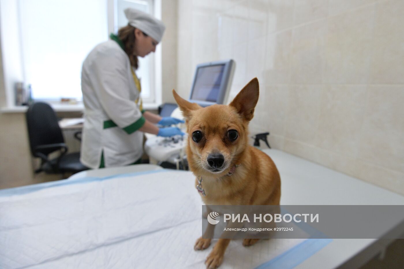 Челябинская ветеринарная станция