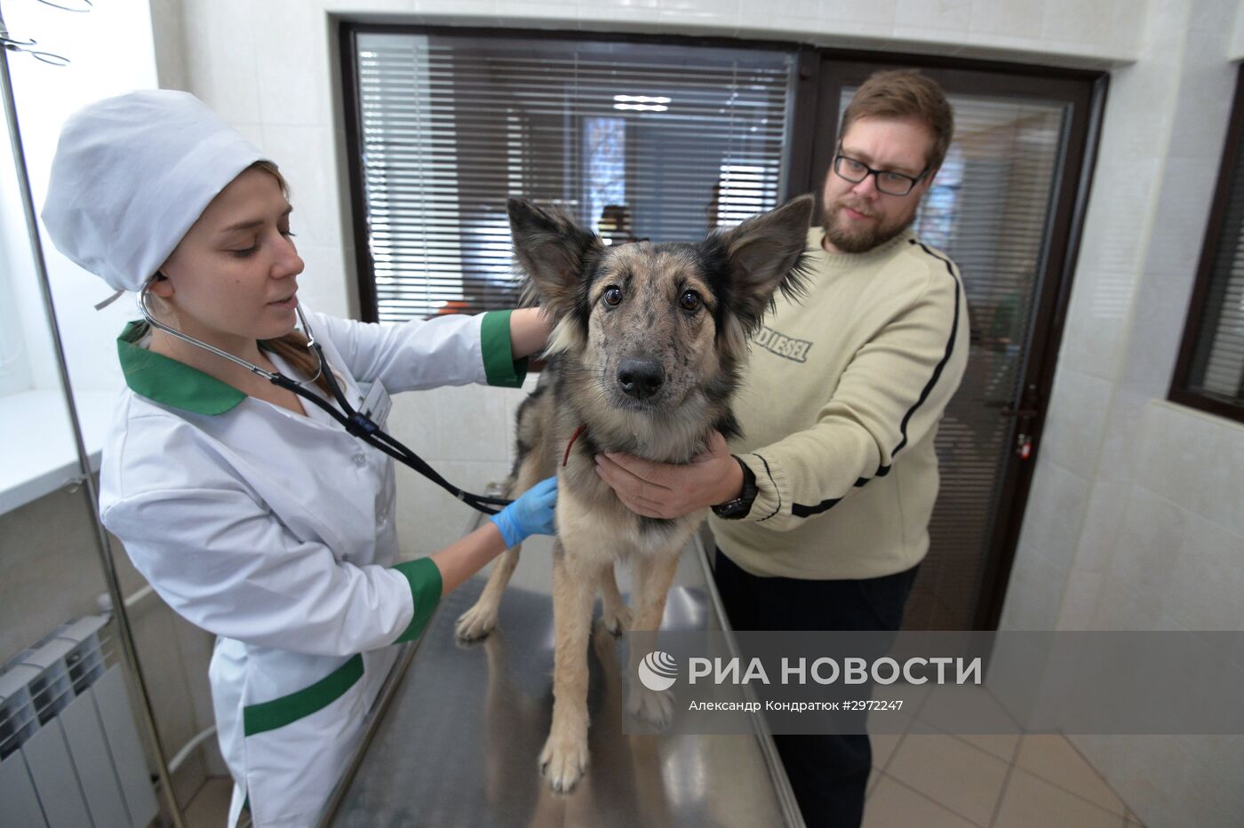 Челябинская ветеринарная станция