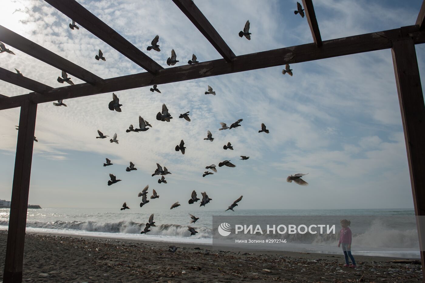 Аномально теплая погода в Сочи