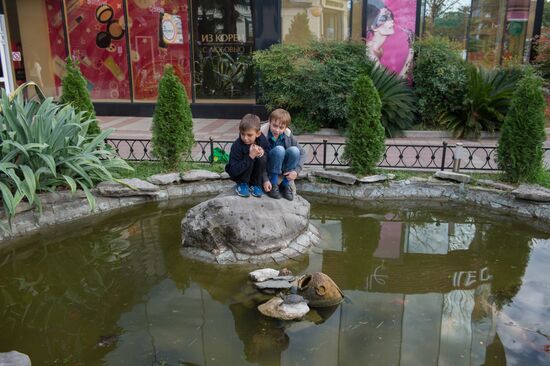 Аномально теплая погода в Сочи