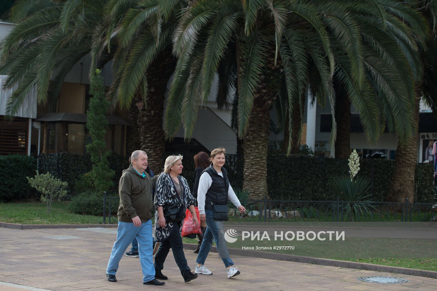 Аномально теплая погода в Сочи