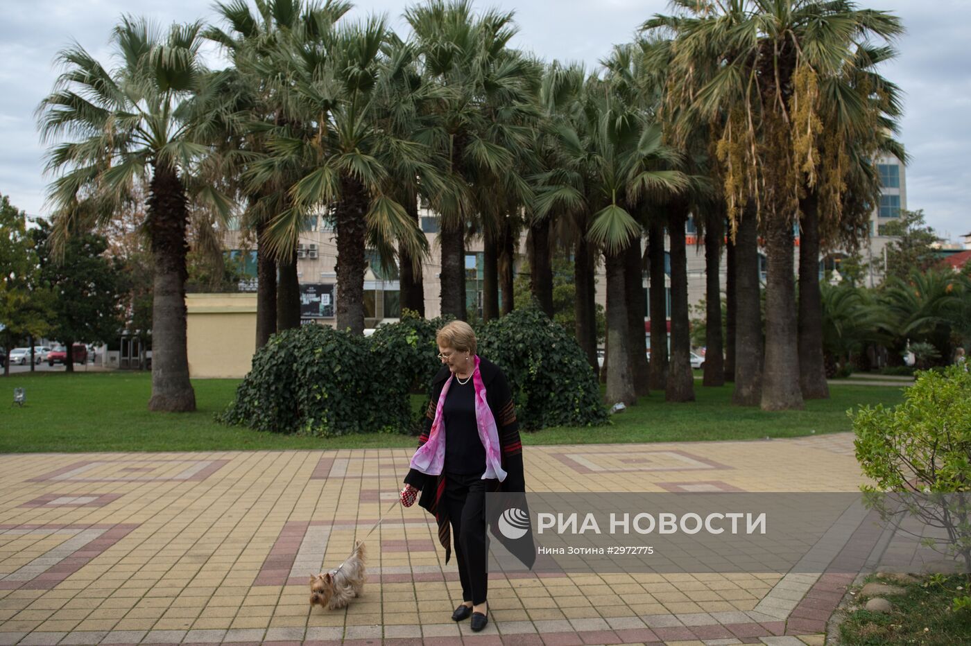 Аномально теплая погода в Сочи