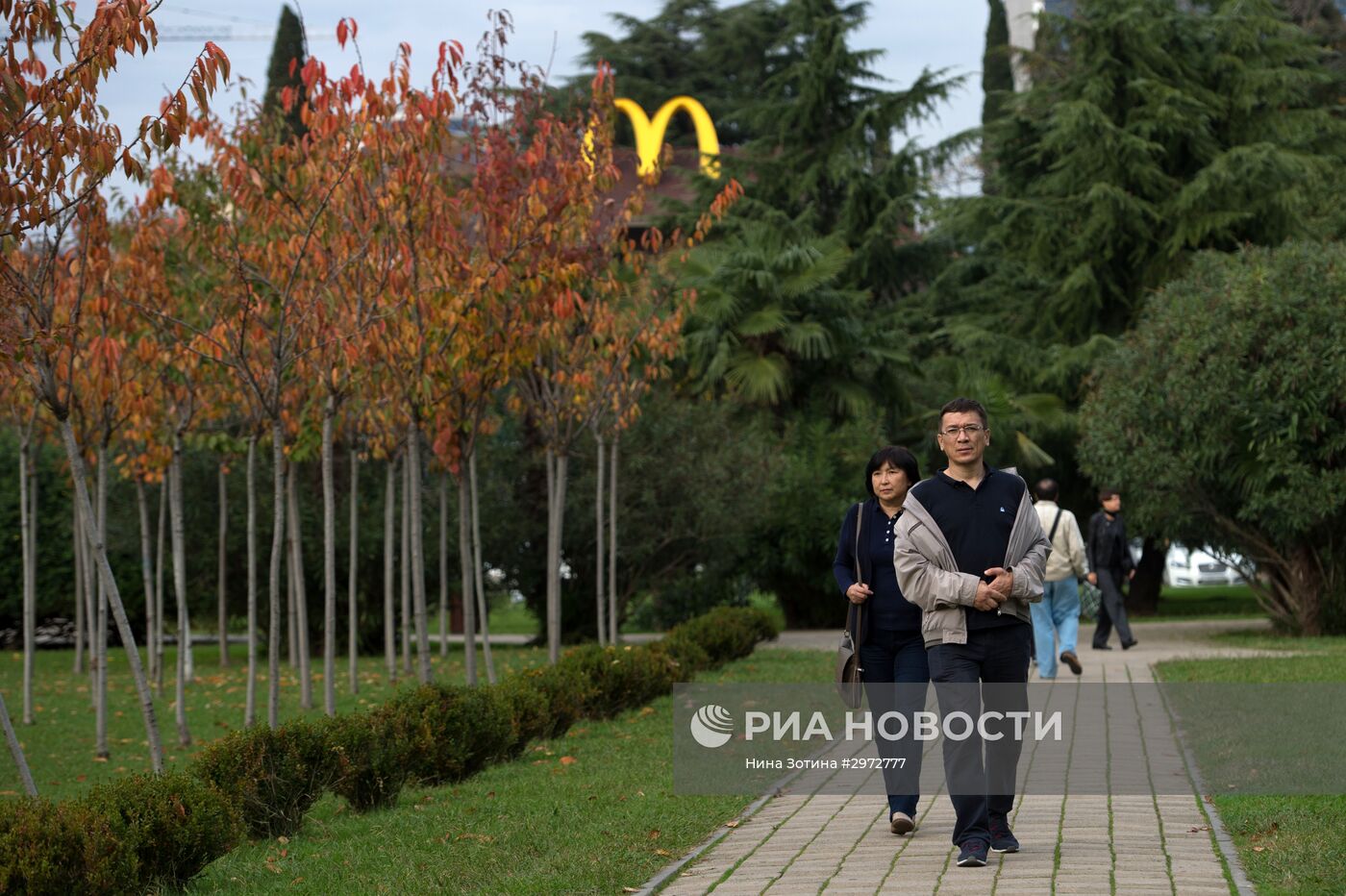 Аномально теплая погода в Сочи