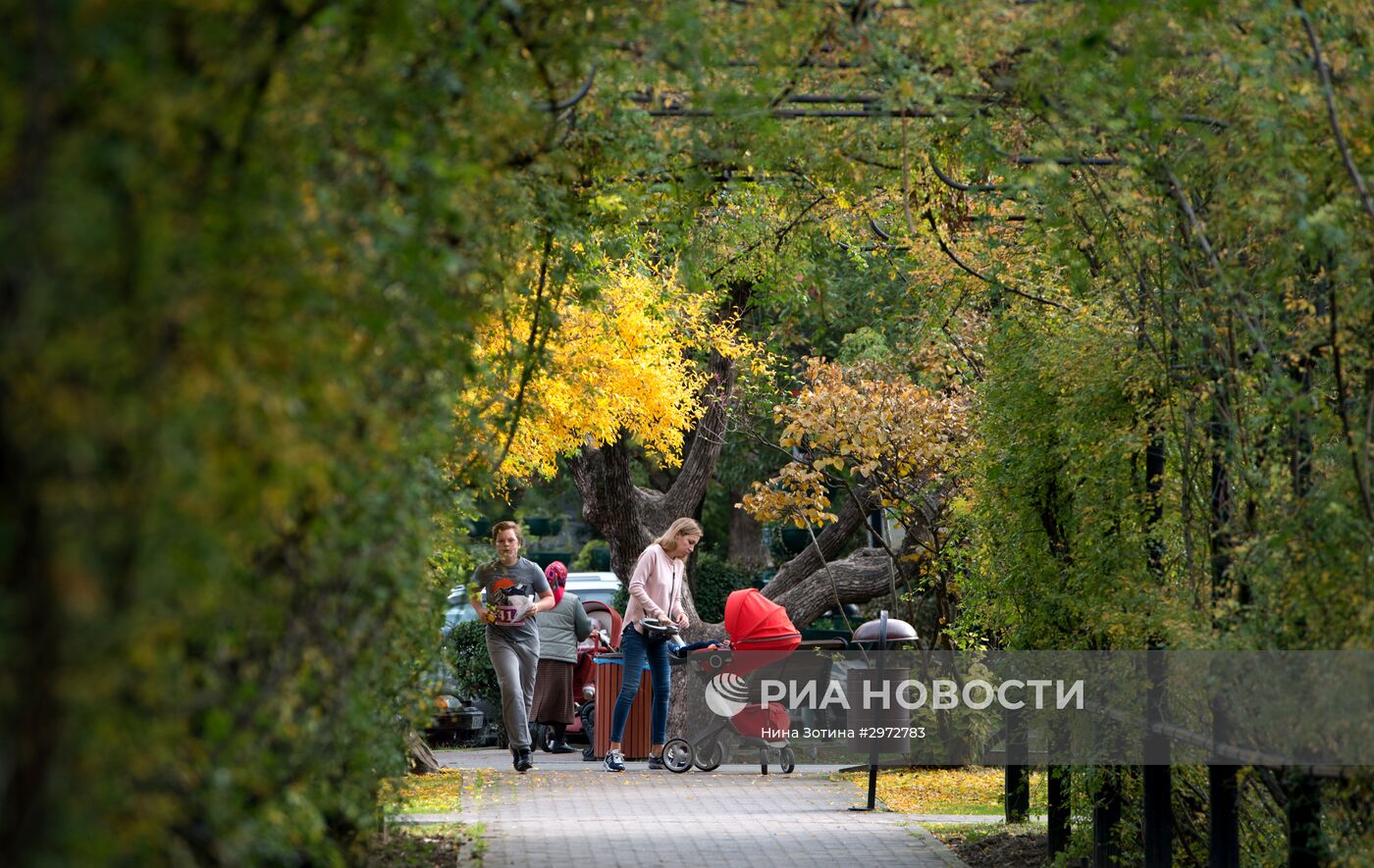 Аномально теплая погода в Сочи