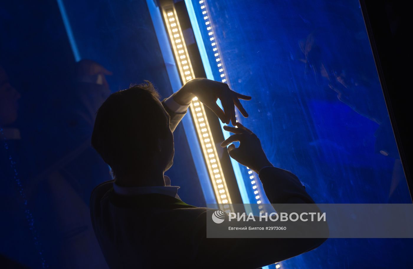 Открытие выставки "Видеть невидимое"