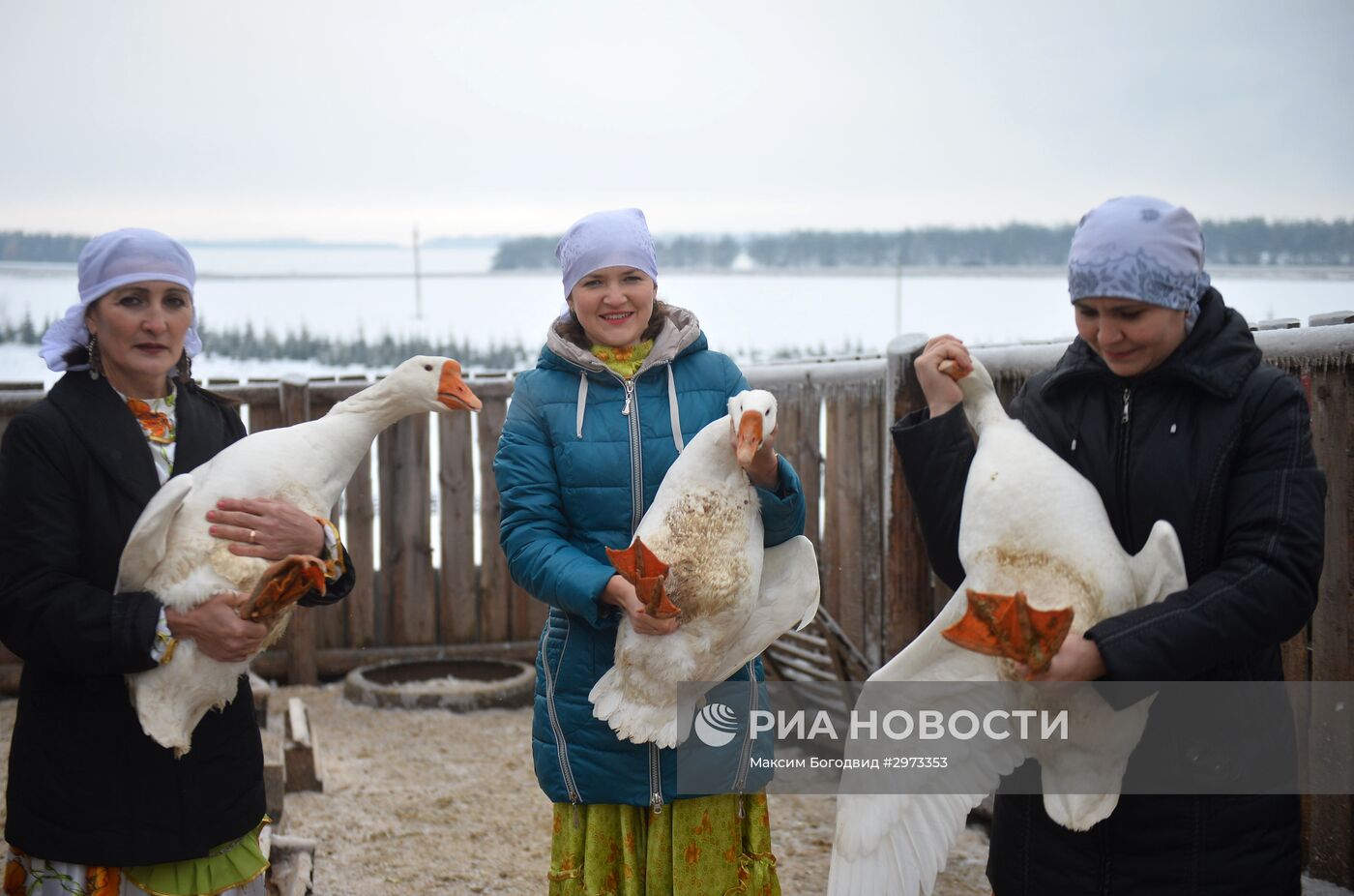 "Праздник гусиного пера" в Татарстане