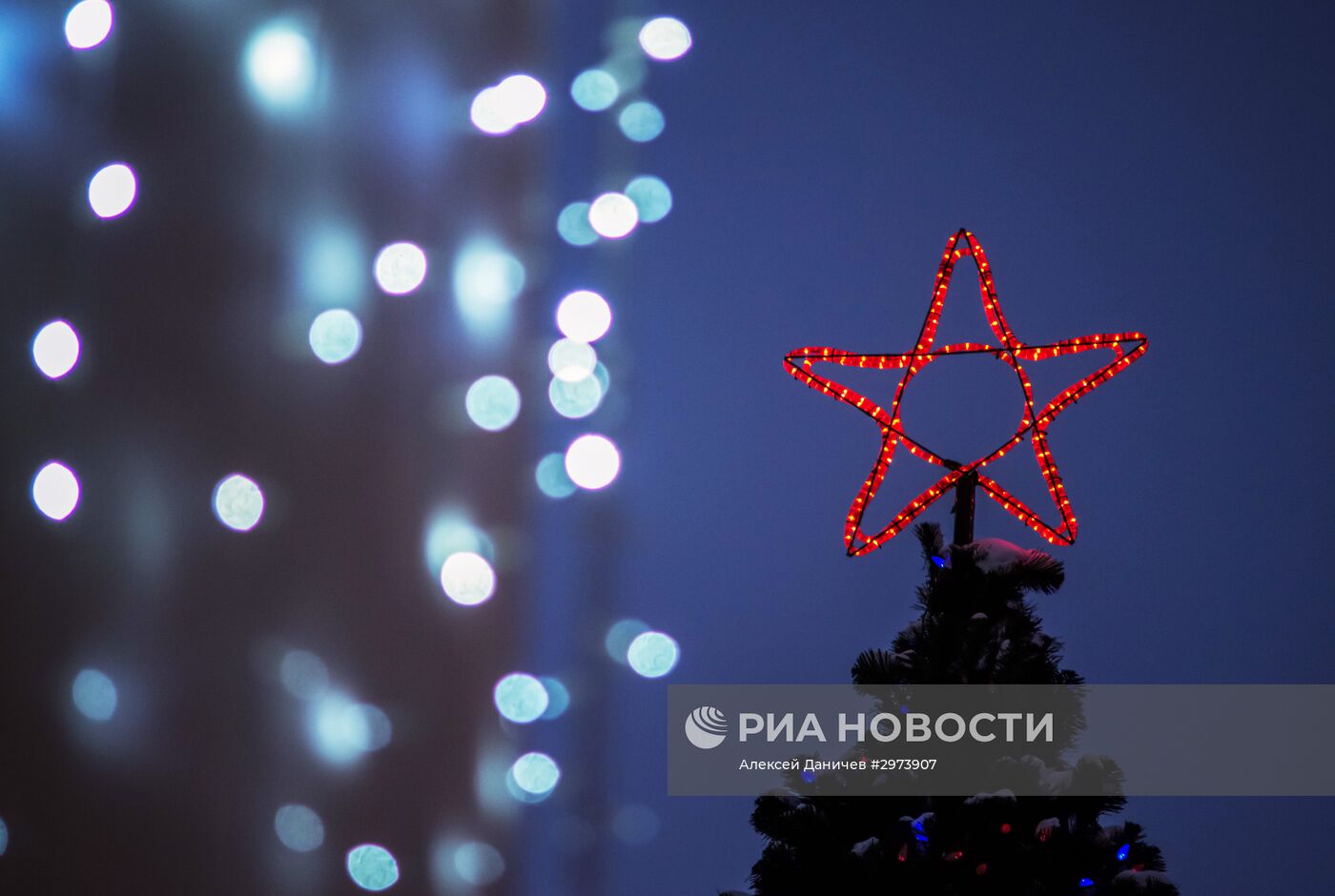 Новогодняя елка в Санкт-Петербурге