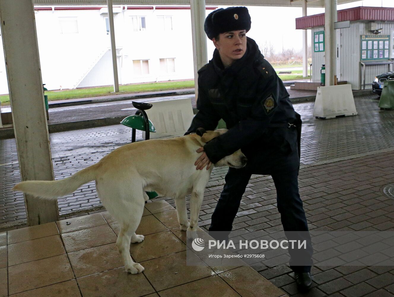 Работа погранперехода "Мамоново-Гжехотки" в Калининградской области