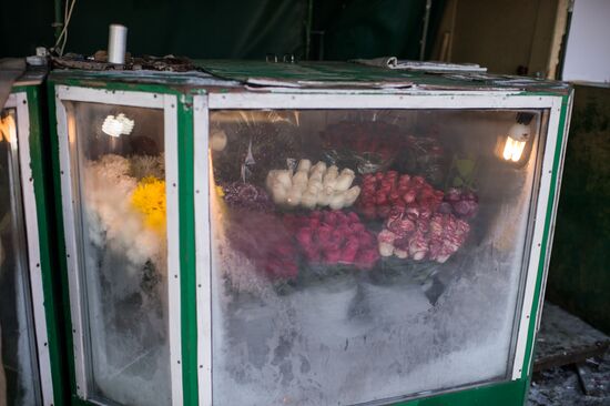 Аномальные морозы в Омске