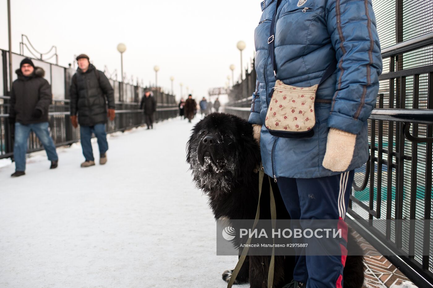 Аномальные морозы в Омске