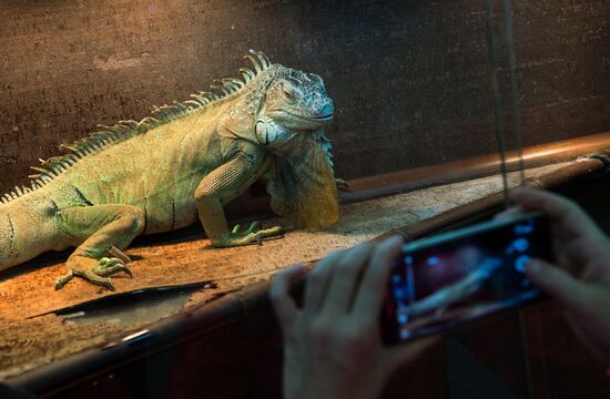 Контактный зоопарк в Москве