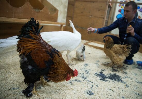 Контактный зоопарк в Москве
