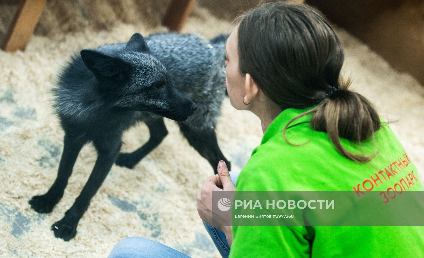 Контактный зоопарк в Москве