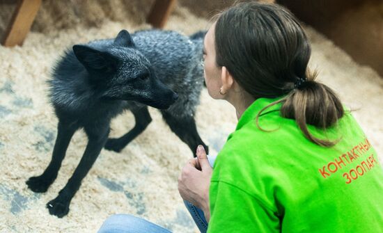 Контактный зоопарк в Москве