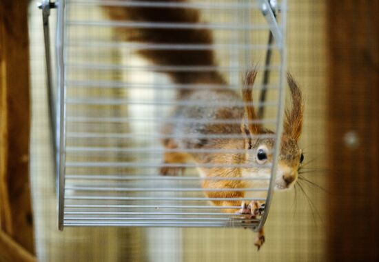 Контактный зоопарк в Москве