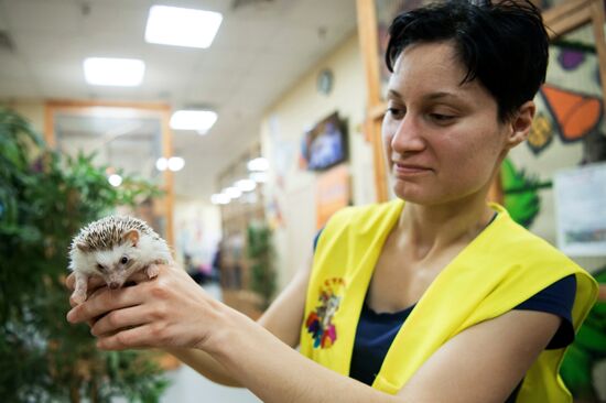 Контактный зоопарк в Москве